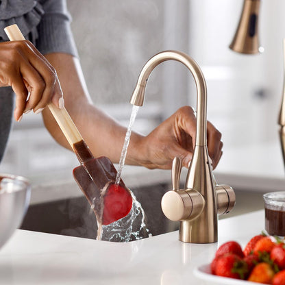 InSinkErator Transitional 1010 Instant Hot and Cold Water Faucet - Brushed Bronze - 45386AK-ISE - additional view